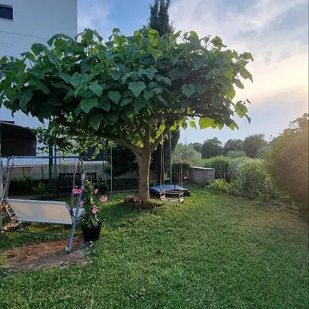 Jasmin Guest house 3*