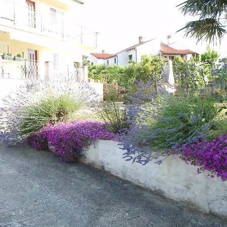 Jasmin Rovinj