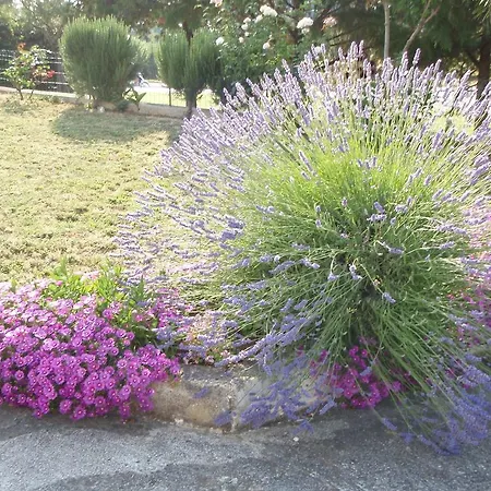 Penzion Jasmin 3*